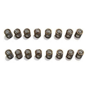 Schrick racing valve springs for all VW 16V engines (16x...