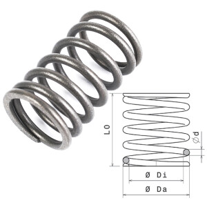 Valve spring [Da=30,7mm, Di=16,6mm, S=13 mm] Set of contact springs (Schrick 0227 02 113)
