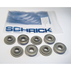 Schrick Motorsport Ventilfedertellersatz für Golf G60,...
